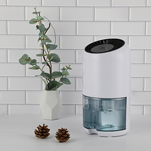 ��ʨ����ᡤ�������-����Ժ�